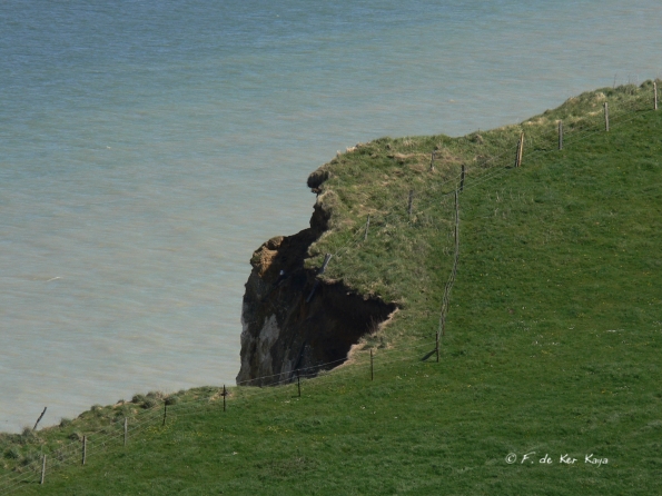Falaise Varengeville (6)